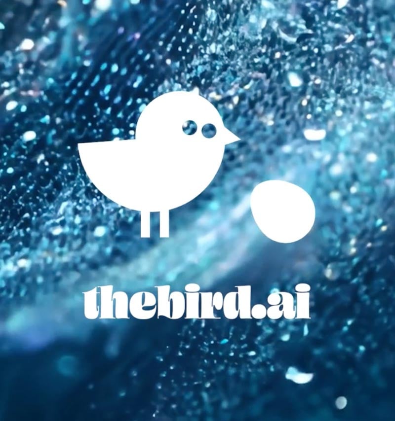 TheBird_Hero-1