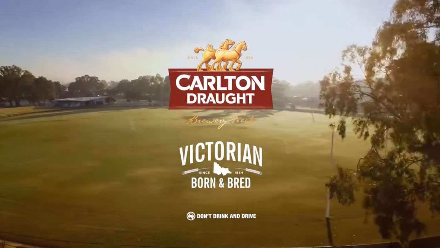 carlton_003